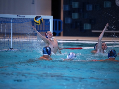 I Lugano Sharks si preparano alla finale dello Swiss Trophy