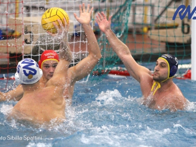 Serie B - La Rari ospita i Rangers  Alle 18 alla piscina Sterlino arriva Vicenza