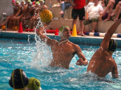 I Lugano Sharks affrontano i quarti di Coppa svizzera 