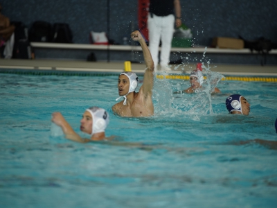 Nuovo impegno nello Swiss Trophy per i Lugano Sharks