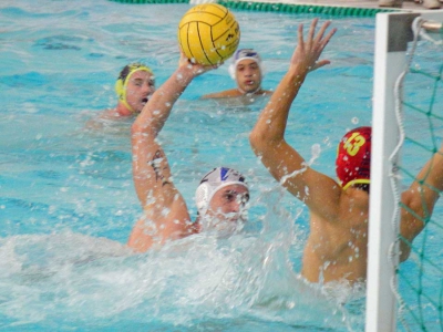 Vela Ancona-Reale Mutua Torino 81  12-13